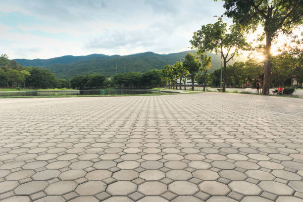 Best Professional Driveway Pavers  in Loxahatchee Groves, FL